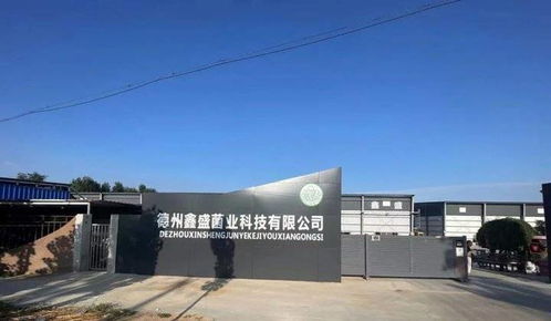 喜賀德州鑫盛鹿茸菇廠批量租賃10臺ID.4 Crozz，綠色出行助力企業發展
